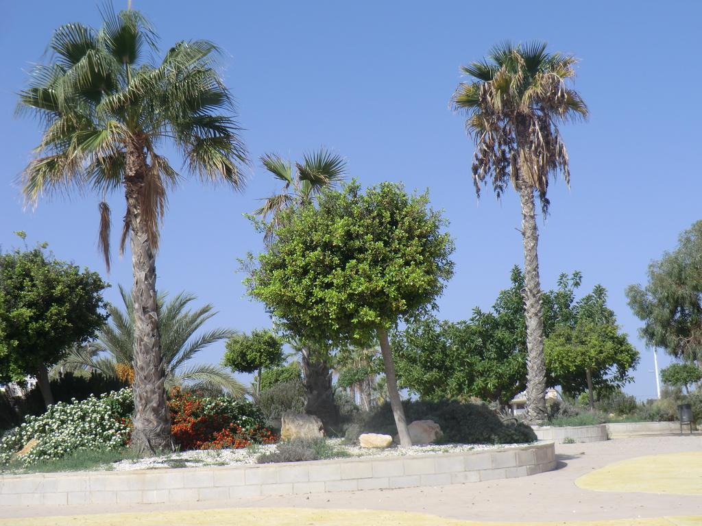 Casa En La Costa Villa Torrevieja Exteriör bild